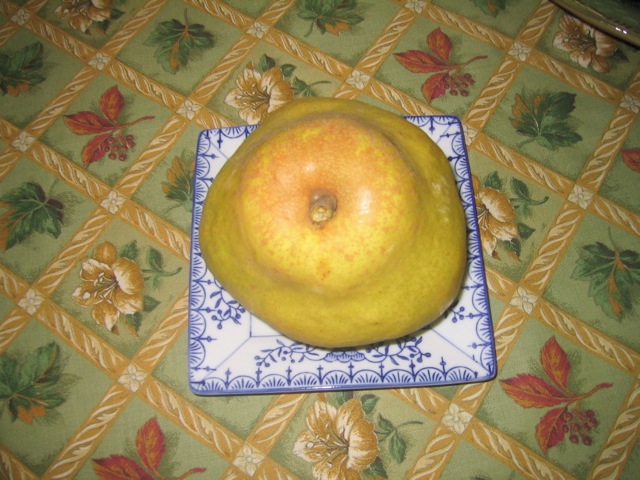 Loading Image